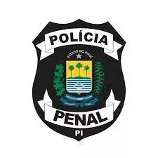 Concurso Polícia Penal PI: SAIU EDITAL! São 400 vagas!